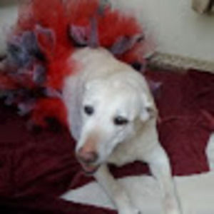 Meet your Posher, Marissa